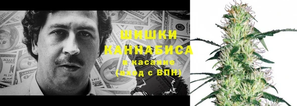 прущие грибы Волгодонск